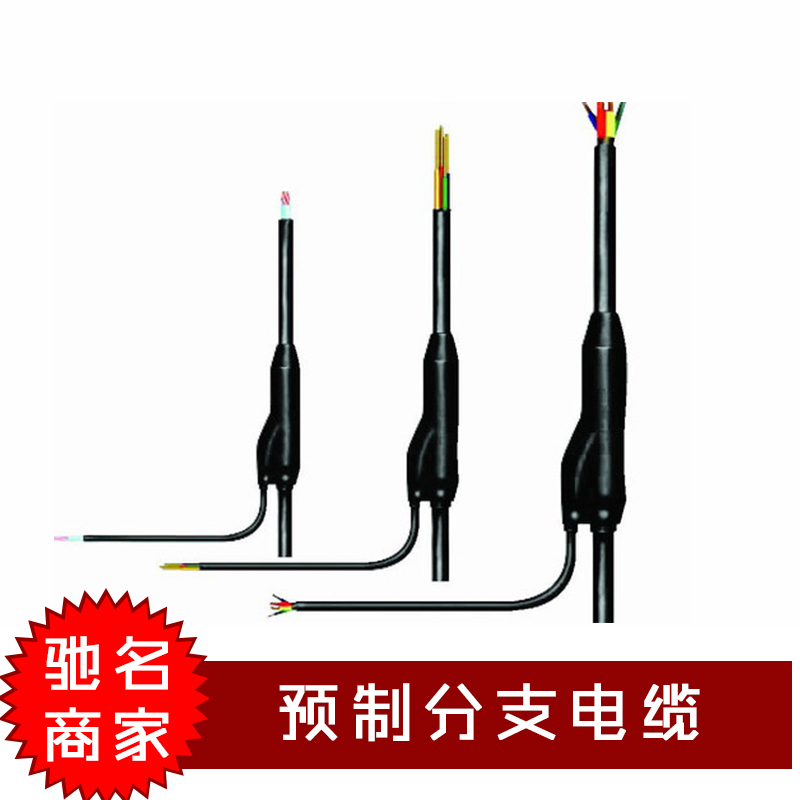 江蘇預(yù)制分支電纜廠家批發(fā)，江蘇預(yù)制分支電纜批發(fā)價(jià)，江蘇江蘇預(yù)制分支電纜報(bào)價(jià)/價(jià)格