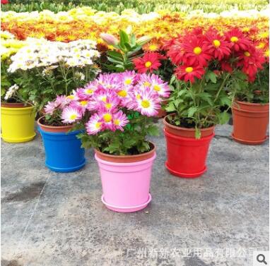 花盆 花盆批發(fā)價(jià)格 花盆生產(chǎn)廠家 種花塑料盆供應(yīng)商