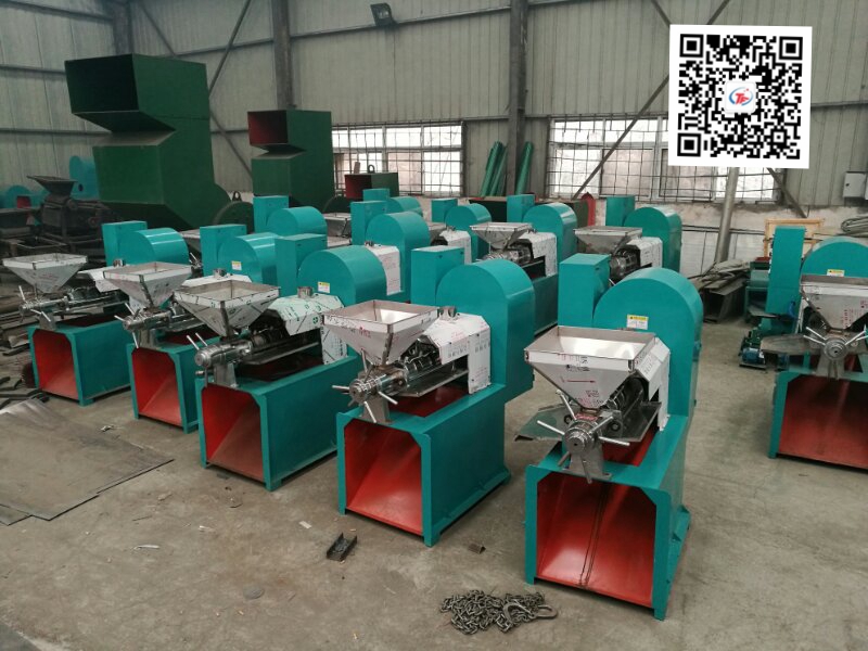 小型花生榨油機(jī) 全自動(dòng)榨油機(jī) 商用 125型榨油機(jī)