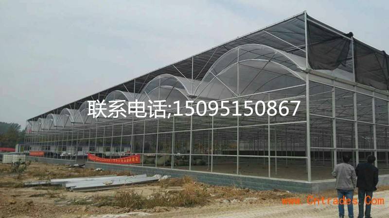 花卉溫室，山東花卉溫室，哪里的花卉溫室價格便宜