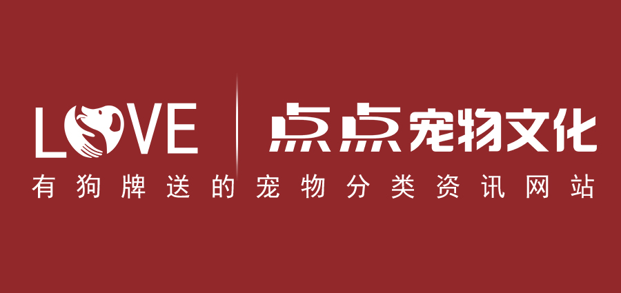 寵物動物貓狗大全+點(diǎn)點(diǎn)寵物文化（有黃銅刻字狗牌貓牌送的寵物分類資訊網(wǎng)站，值得每一位寵物主人和業(yè)界人士關(guān)注，鏟屎官快點(diǎn)過來