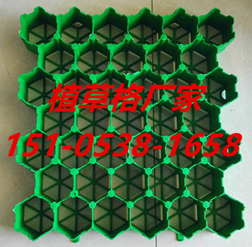 河南塑料植草格抗腐蝕耐老化