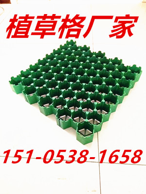 山西植草格，塑料植草格，綠化植草格歡迎訂購