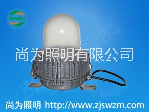 SZSW7351防爆LED投光燈_SW7351廠家供應價格