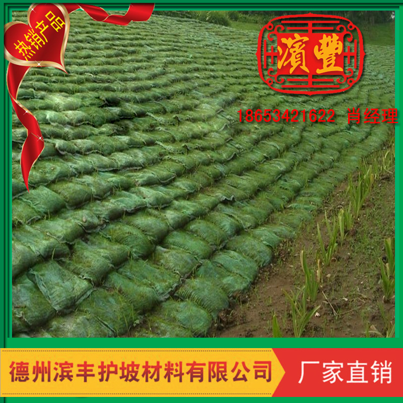 供應(yīng)用于邊坡綠化的山體復(fù)綠護(hù)坡材料 山體護(hù)坡材料 護(hù)坡綠化植草袋新品熱銷