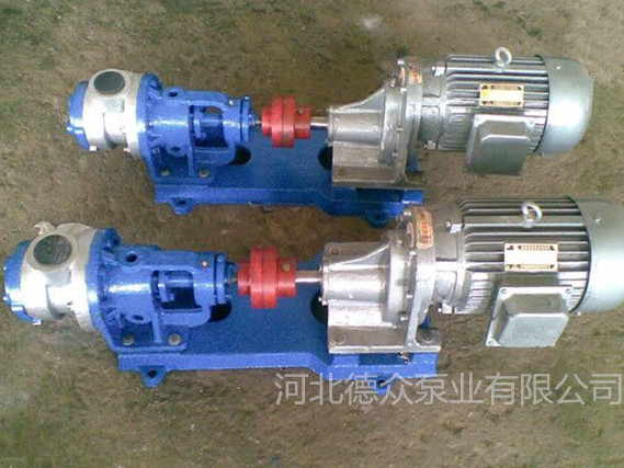 廠家銷售瑞悅牌轉(zhuǎn)子泵