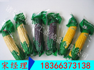 真空包裝機_連續(xù)滾動式真空包裝