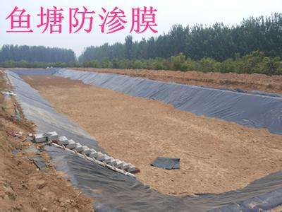 防滲膜價(jià)格