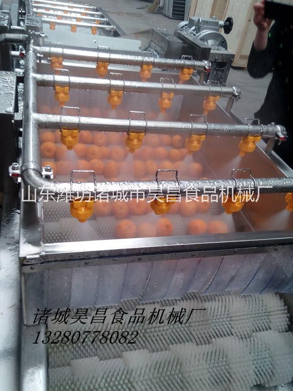 昊昌氣泡式果蔬清洗機