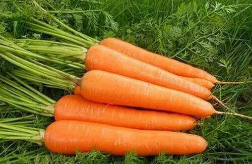 深圳蔬菜配送 深圳農(nóng)副產(chǎn)品配送  深圳蔬菜農(nóng)副產(chǎn)品配送