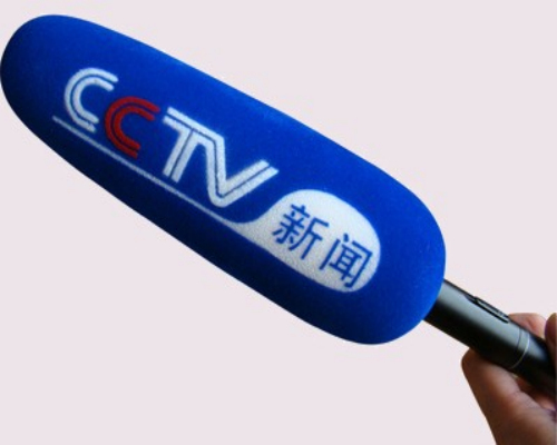 供應(yīng)植絨logo麥克風(fēng)海綿話筒套