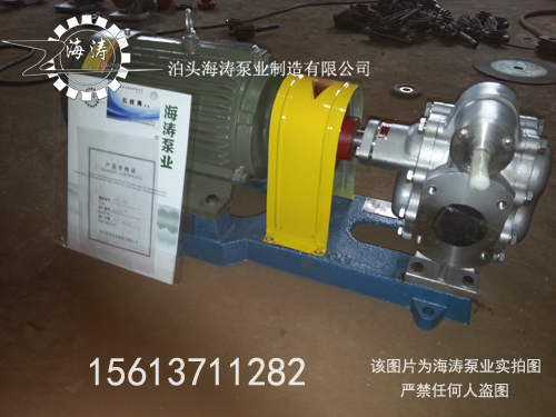 供應(yīng)大量不銹鋼齒輪泵，型號(hào)齊全可加工定制，耐磨耐用
