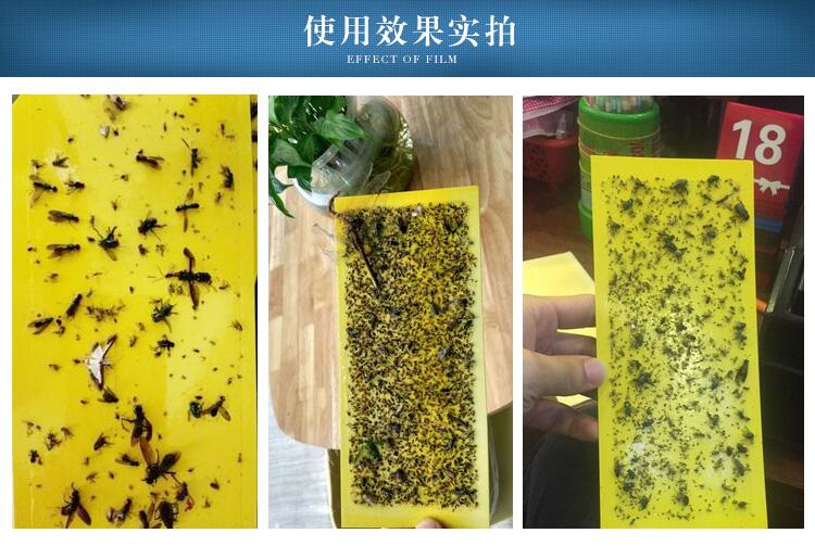 DMG迪門子工業(yè)級粘捕式滅蚊蟲燈，賓館餐飲食品廠藥廠*