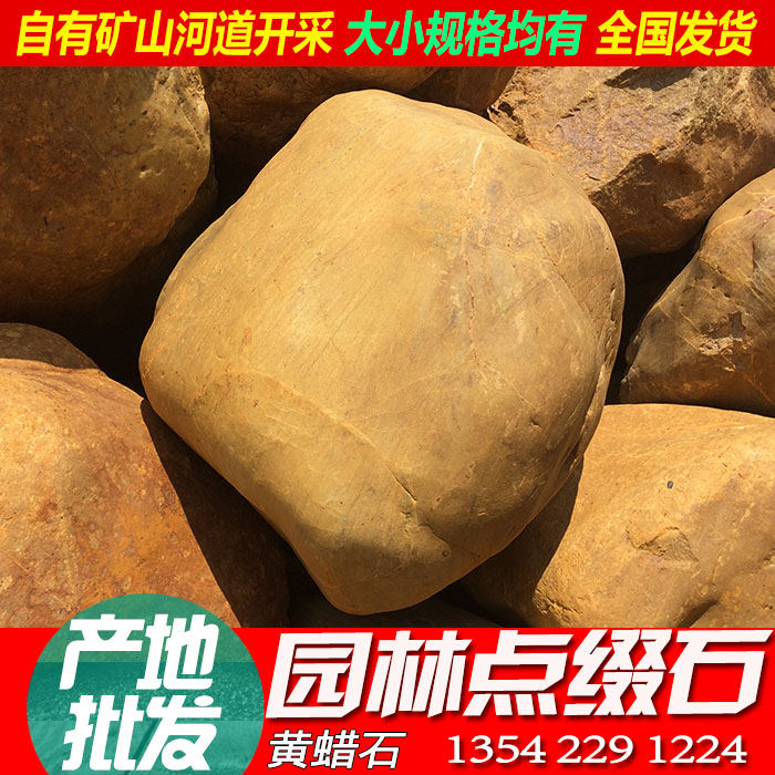 黃蠟石草地點(diǎn)綴石，黃蠟石點(diǎn)綴石價(jià)格 草地點(diǎn)綴石頭廠家