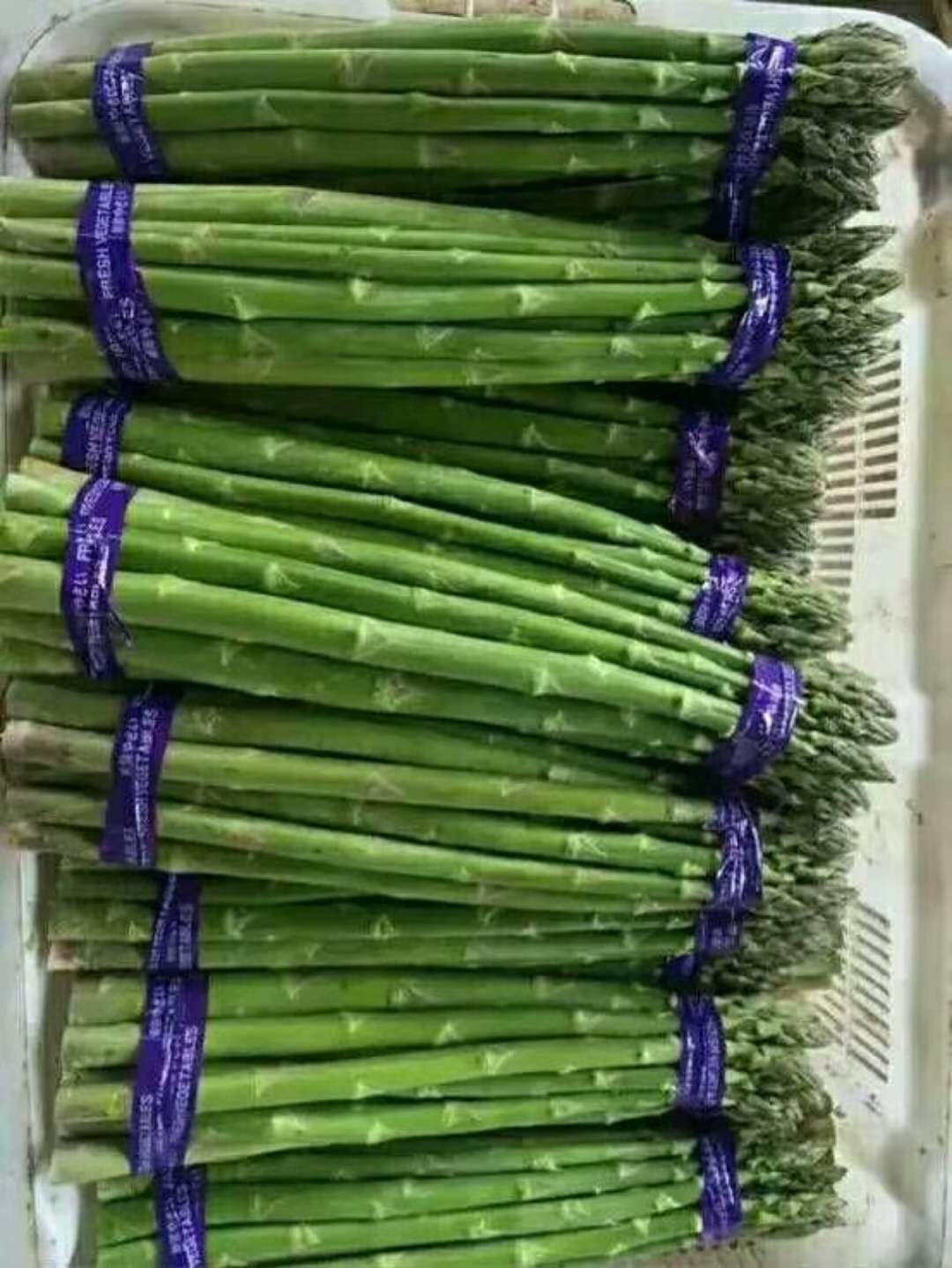 進(jìn)口蘆筍種子，格蘭德-蘆筍種子