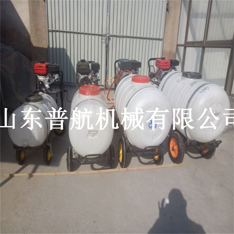 大棚果園手推打藥機(jī)   大容量果園噴霧器   打藥機(jī)型號