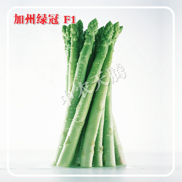加州綠冠F1-高產(chǎn)蘆筍種子
