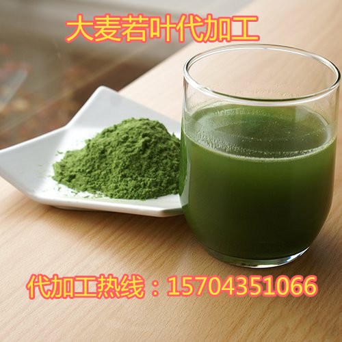 大麥若葉代加工