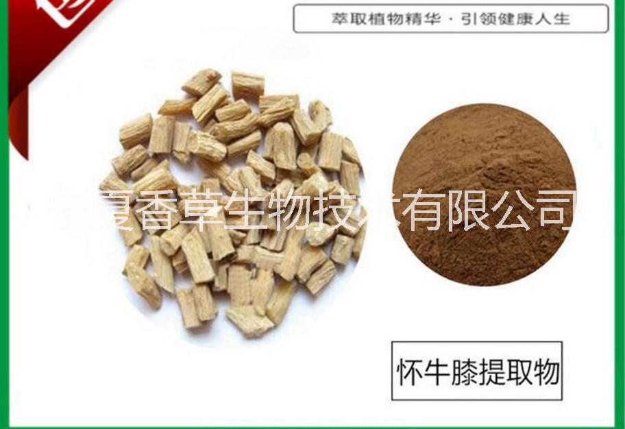 川牛膝提取物 懷牛膝多糖30%價格 寧夏*艾葉提取物/白芍 赤芍提取物芍藥苷50%/仙鶴草提取物紫檀香提取物伸筋草粉