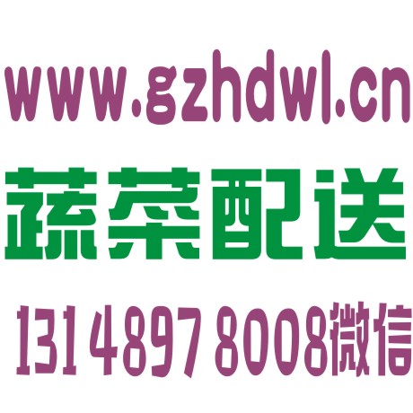 天河區(qū)蔬菜配送  廣州鮮一百蔬菜配送公司 天河區(qū)蔬菜配送蔬菜配送公司 天河區(qū)蔬菜配送廣州蔬菜配送公司
