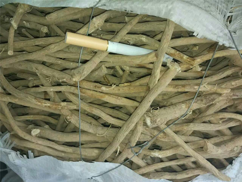 甘肅藥都黃芪價(jià)格 甘肅黃芪片批發(fā) 甘肅隴西黃芪廠家 甘肅黃芪條批發(fā)價(jià)格