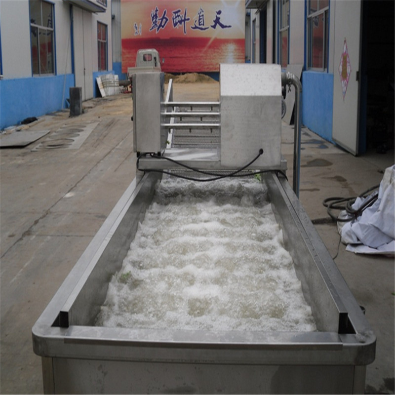 蔬菜清洗機(jī)廠家 蔬菜清洗機(jī)廠家圖片