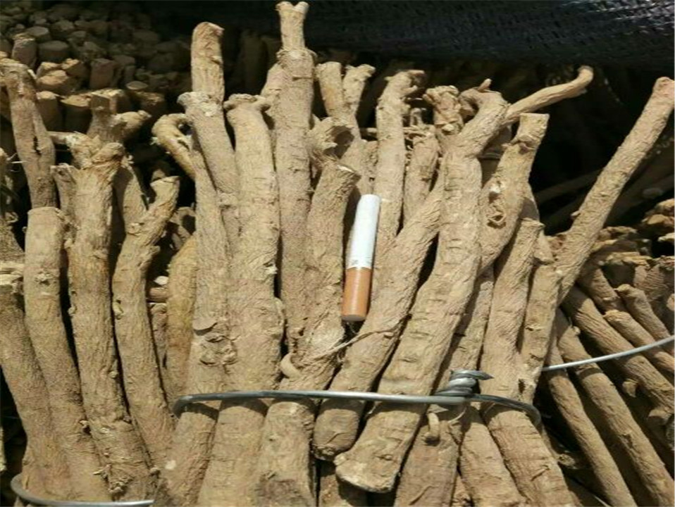 甘肅藥都黃芪價(jià)格 甘肅黃芪片批發(fā) 甘肅隴西黃芪廠家 甘肅黃芪條批發(fā)價(jià)格