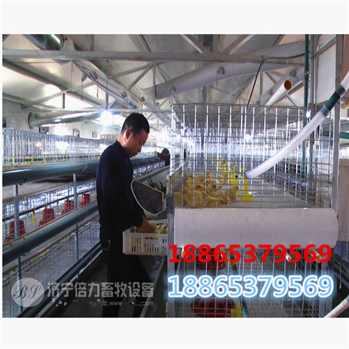 規(guī)模養(yǎng)雞場(chǎng)都用什么樣的清糞帶