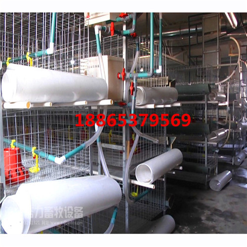 pp清糞帶好還是pvc清糞帶好 養(yǎng)*應(yīng)該用什么材質(zhì)的清糞帶