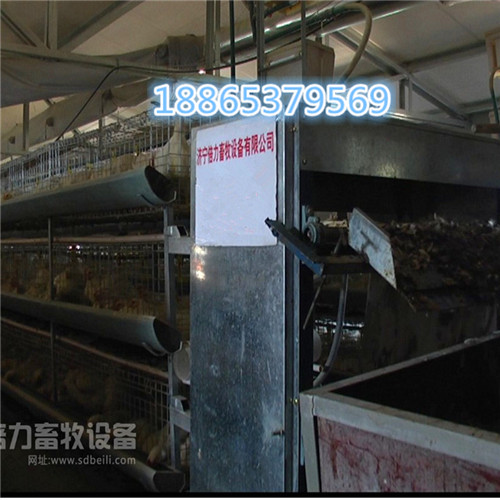 清糞帶價格—專業(yè)生產(chǎn)pp清糞帶