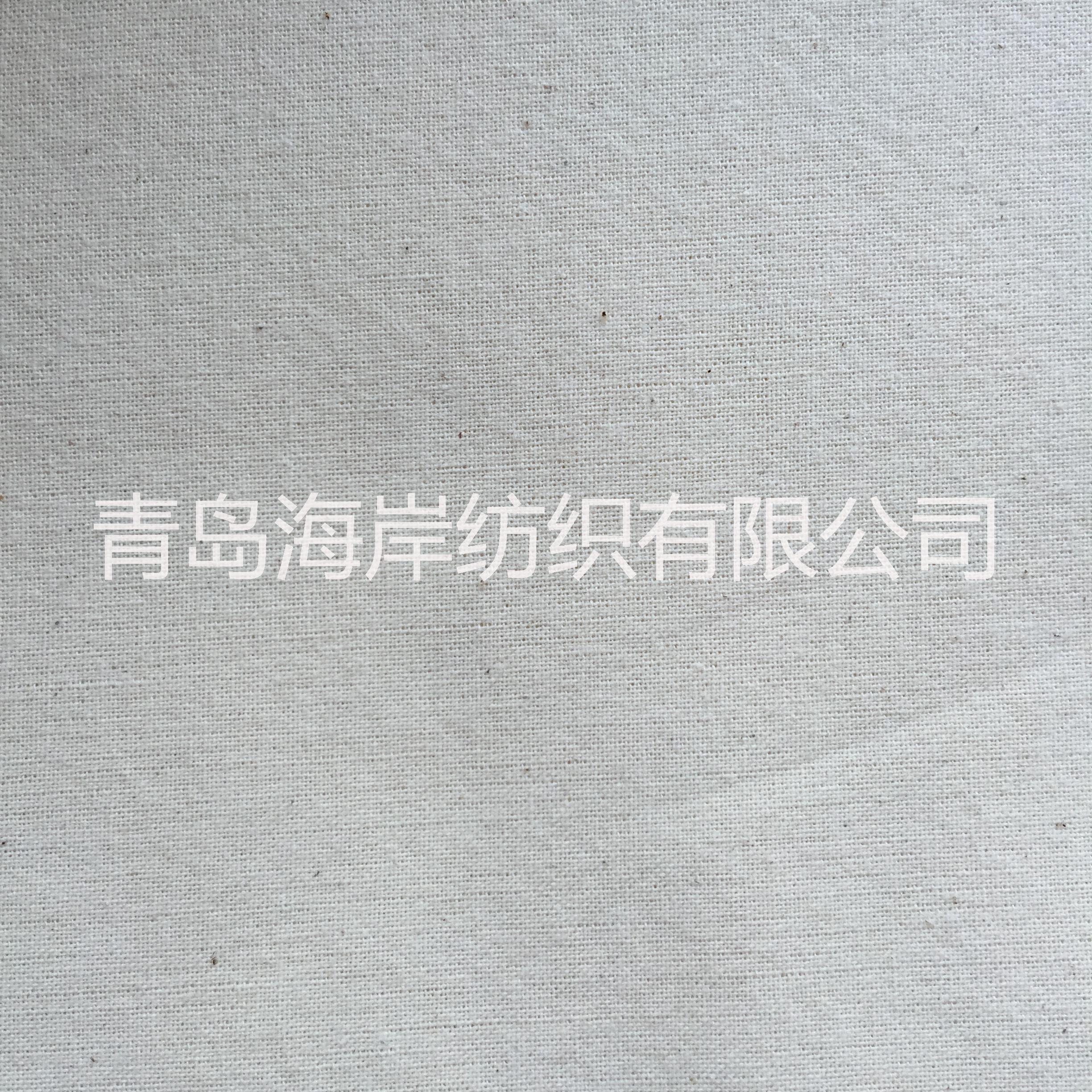全棉坯布5安帆布140克棉布C21X21 60X58 63