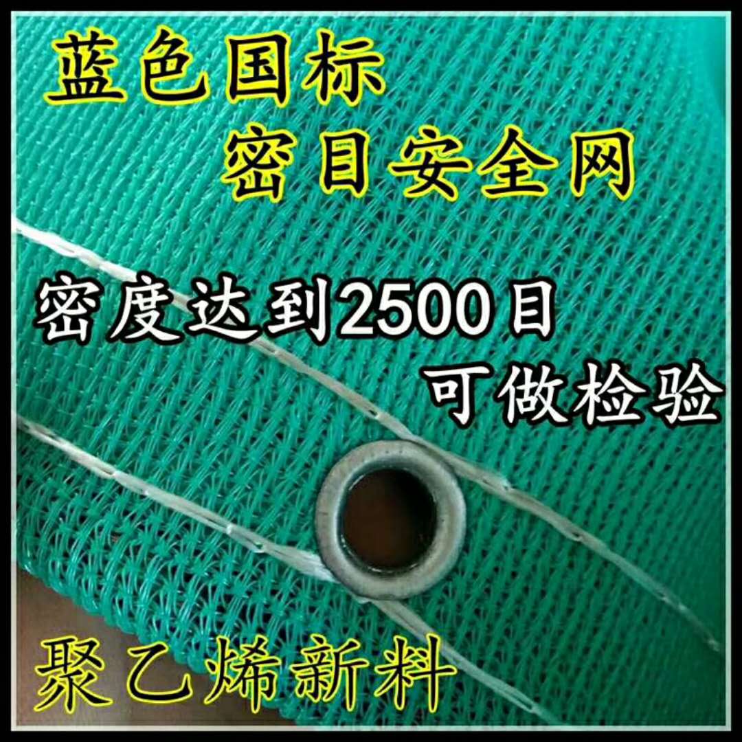 山東廠家供應(yīng)優(yōu)質(zhì)*阻燃密目網(wǎng)藍(lán)色聚酯網(wǎng)