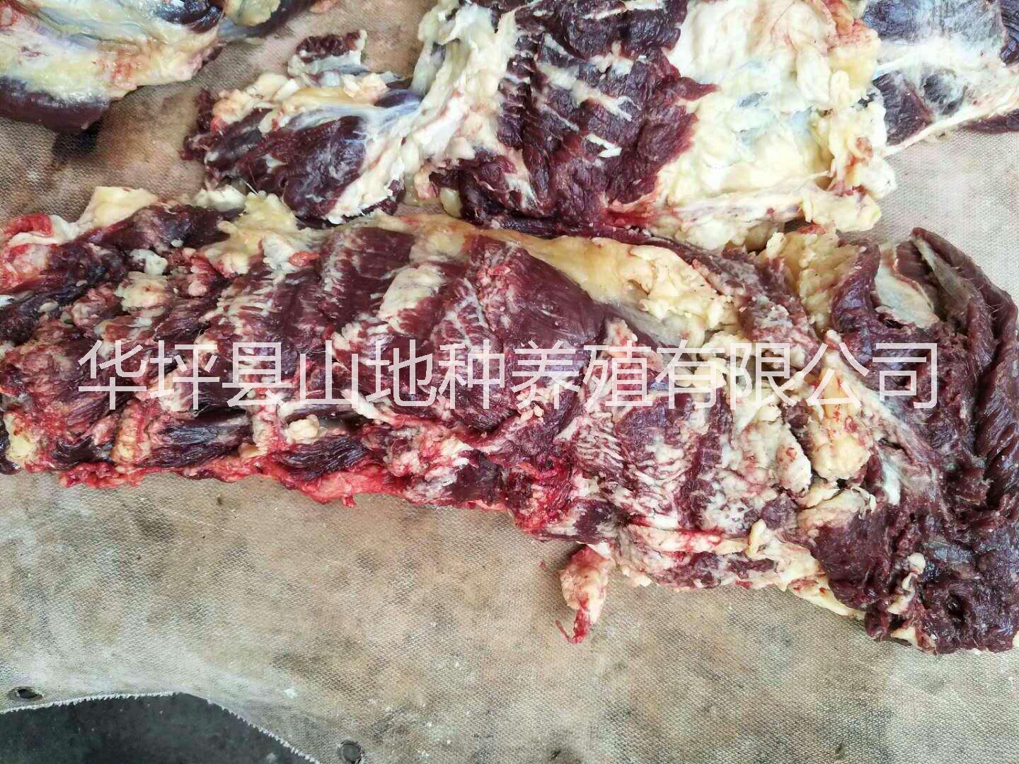 云南生態(tài)小黃牛肉      麗江小黃牛肉供應(yīng)      小黃牛肉批發(fā)價格