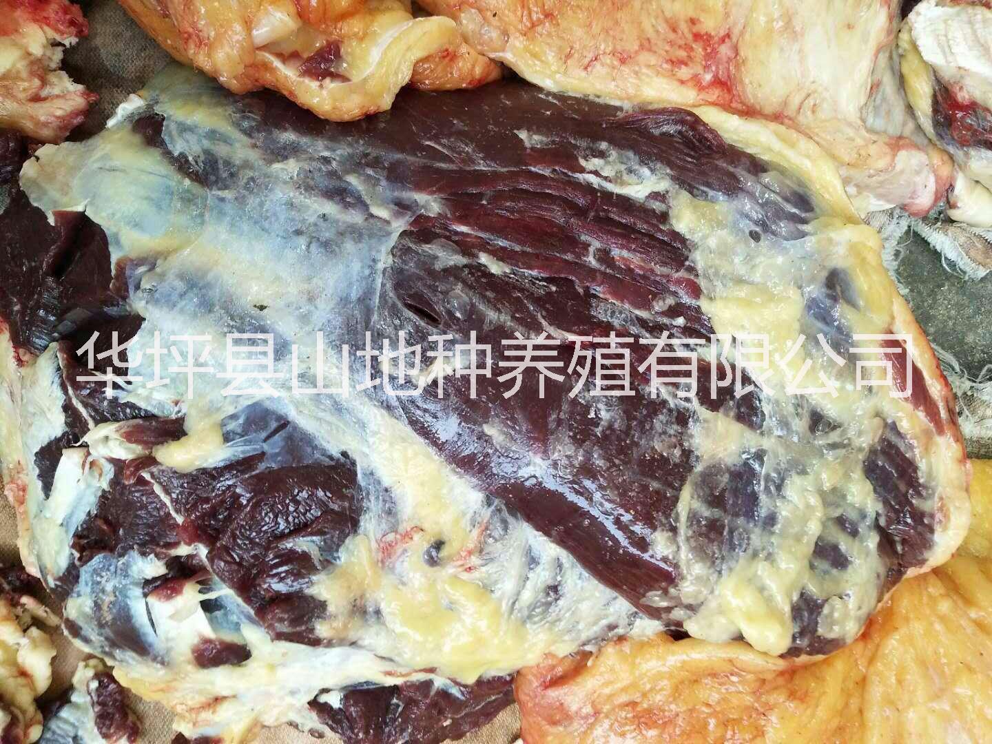 云南生態(tài)小黃牛肉      麗江小黃牛肉供應(yīng)      小黃牛肉批發(fā)價格
