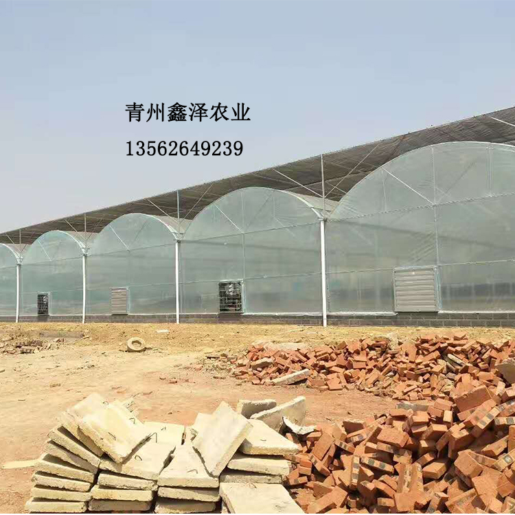 薄膜連棟大棚建設(shè) 連棟大棚多少錢 薄膜連棟溫室廠家 連棟溫室造價(jià)多少錢 連棟溫室價(jià)格