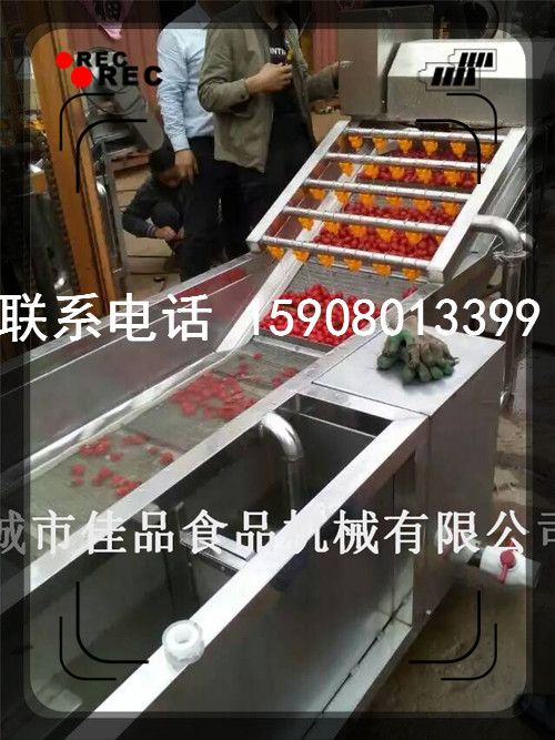 黃瓜清洗機(jī) 甜瓜清洗機(jī) 西芹清洗機(jī) 蔬菜清洗機(jī)佳品食品機(jī)械廠家直銷