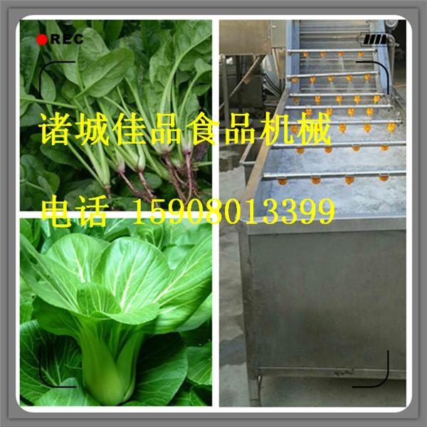 洗姜機(jī) 大姜清洗機(jī) 水果蔬菜清洗機(jī)廠家直銷 佳品食品機(jī)械