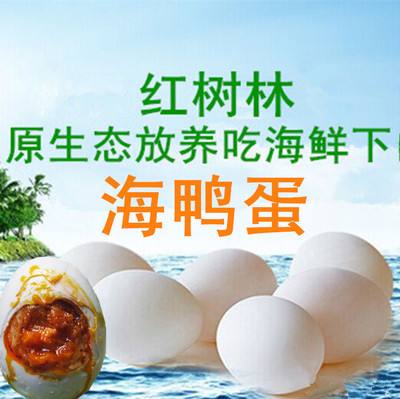 沈陽海鴨蛋價(jià)格差別大 消費(fèi)者霧里看花