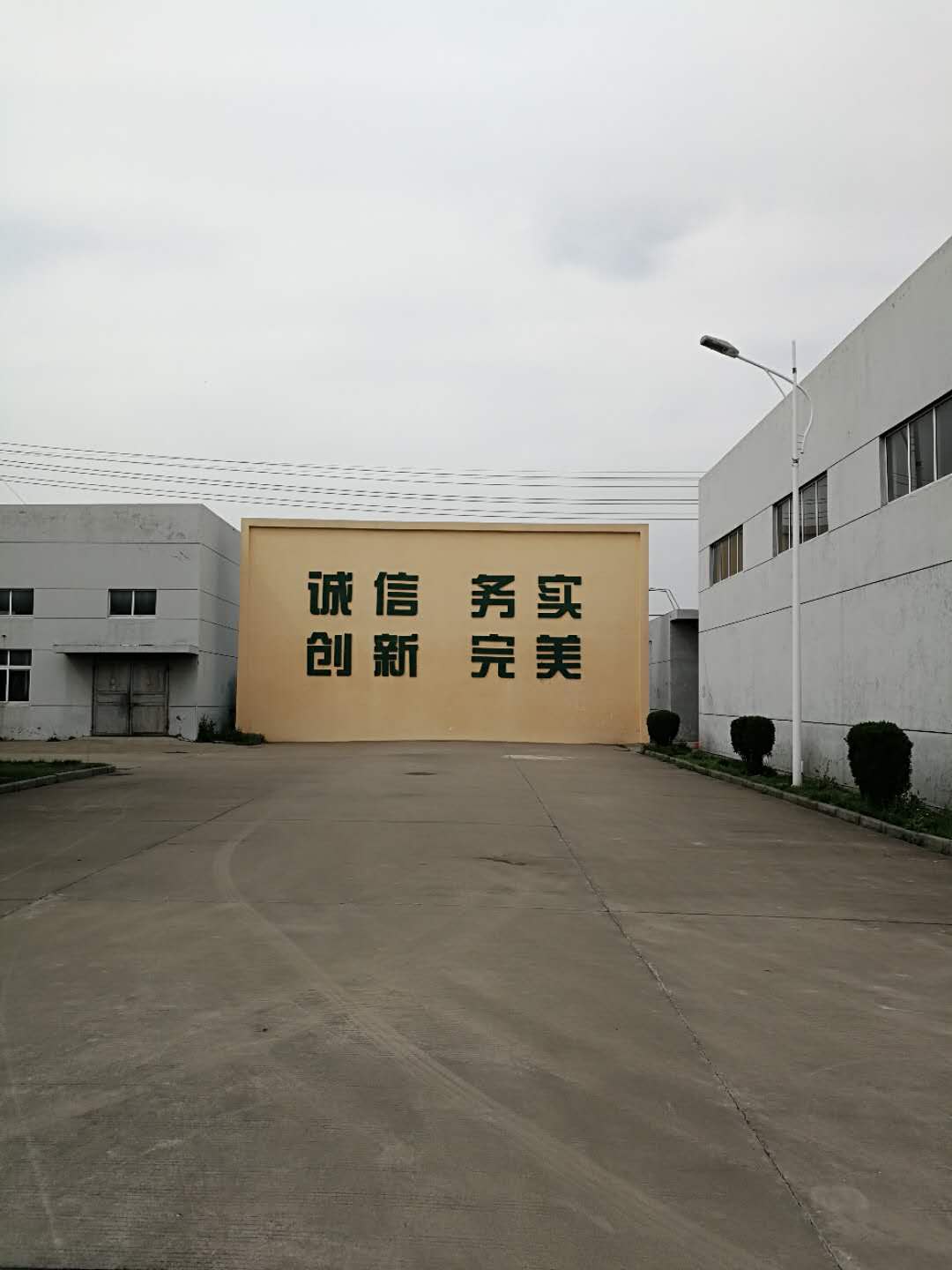 泰安晨輝生物供應(yīng)菌利康提高產(chǎn)蛋量*的蛋禽飼料添加劑 飼料添加劑 微生態(tài)制劑