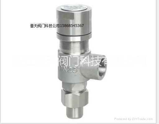 彈黃式全啟式安全閥 浙江彈黃式全啟式安全閥