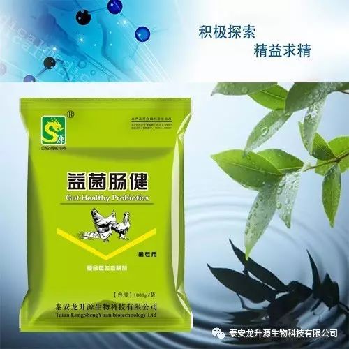 畜禽*益生菌*改善養(yǎng)殖環(huán)境