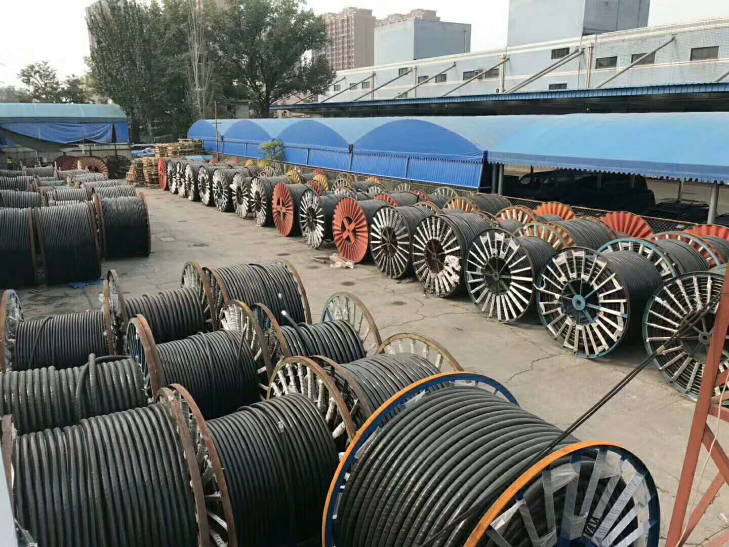 廢電纜回收價(jià)格 廢舊電線電纜回收價(jià)格 廢舊電纜線今日回收價(jià)格