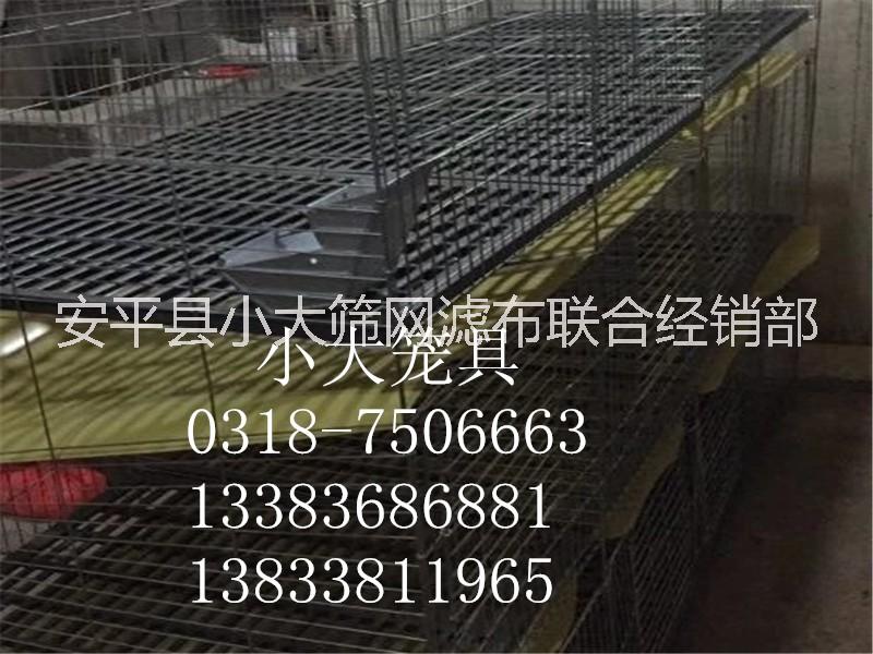 供應(yīng)養(yǎng)殖設(shè)備雞鴿兔籠*籠*籠