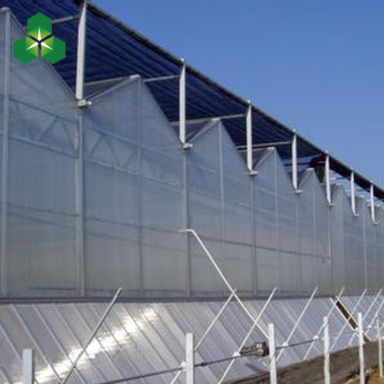 供應(yīng)陽光板溫室 新型陽光板溫室價(jià)格 建蔬菜陽光板溫室大棚的價(jià)格