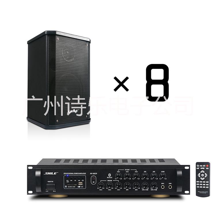 專(zhuān)業(yè)會(huì)議音響組合套裝設(shè)備 培訓(xùn)藍(lán)牙功放壁掛音箱AV8820/BX101 會(huì)議音響套裝