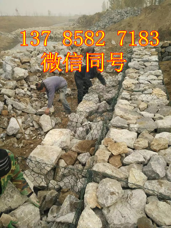 固腳綠濱墊 賓格石籠護坡 固濱籠 一平米綠濱墊價格 防洪護堤固濱籠擋墻