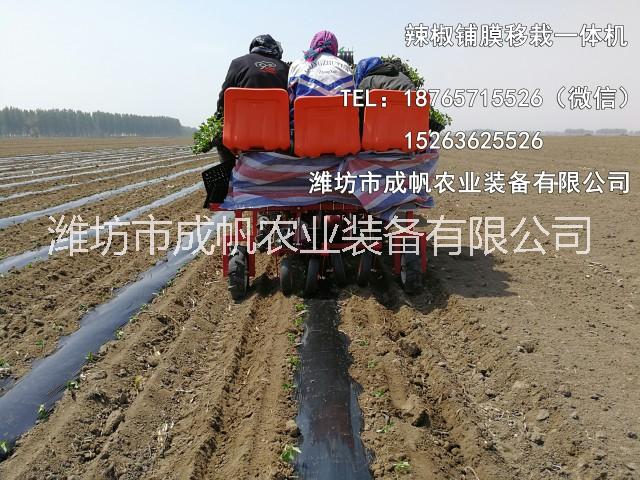 西紅柿 成帆2ZBX-2型辣椒移栽機(jī) 甘藍(lán) 白菜辣椒苗移栽機(jī)價格 你想要的移栽機(jī)都在這里