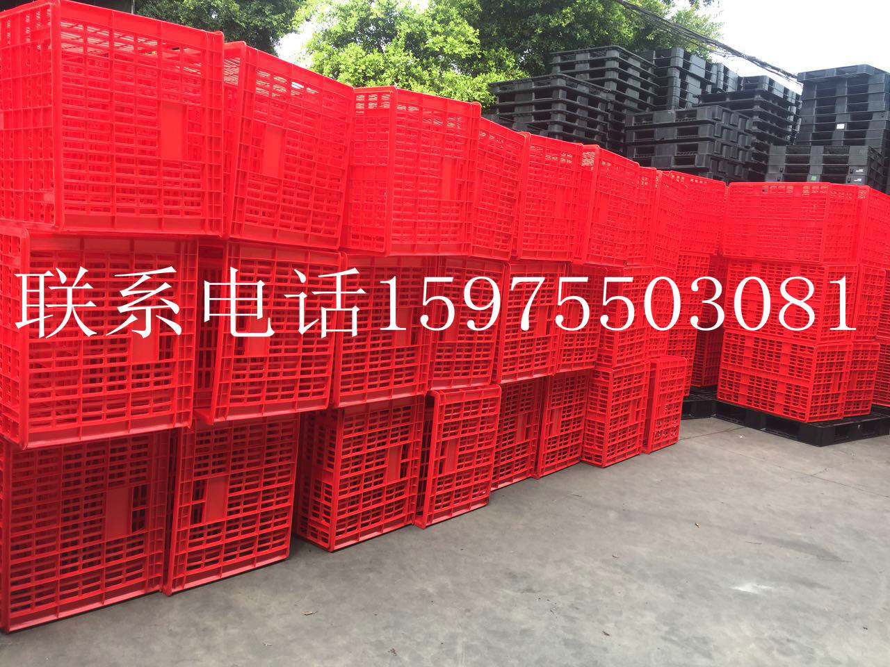 佛山塑料托盤二手塑料卡板收售租賃
