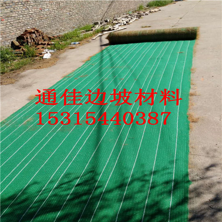 廠家*四川自貢抗沖生態(tài)毯護坡材料  加筋防沖毯