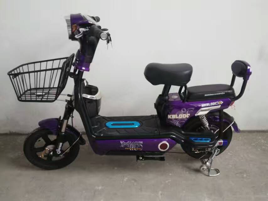 駿馬電動(dòng)車  簡易款  馬可波羅電動(dòng)車  小車